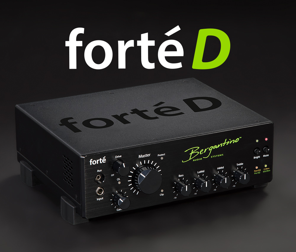 photo of the Bergantino Forte D Bass Amplifier